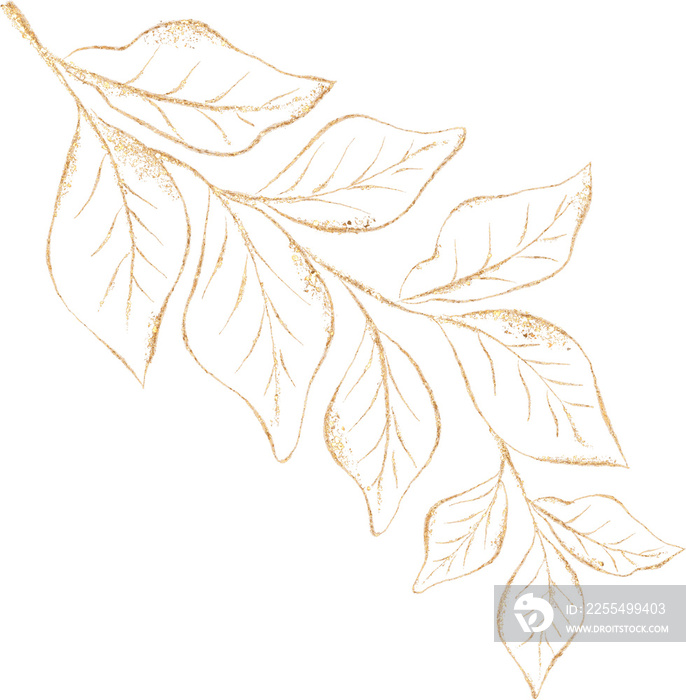 Leaf of golden luxury illustration