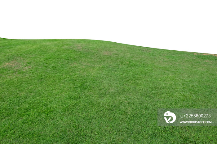 白色背景下孤立的草地的绿色山丘。