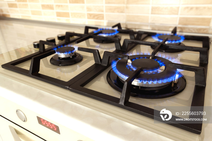 家用厨房炉灶蓝色火焰的特写镜头。燃气灶，燃烧着丙烷气体。
