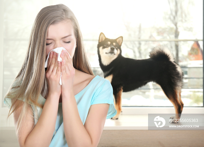 背景是纸巾和宠物的年轻患病女性。对狗过敏的概念