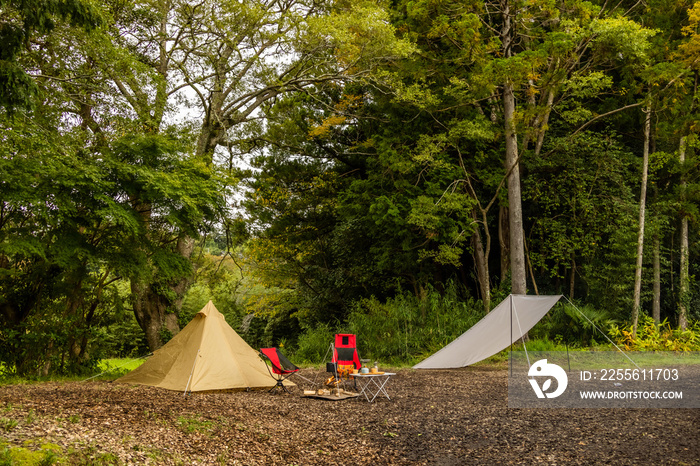 林の中でキャンプ　Outdoor camping in the woods