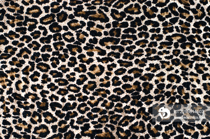 Abstract beautiful background of leopard print.