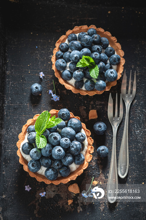 自制迷你馅饼配新鲜蓝莓和薄荷