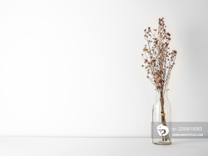 白色地板和背景w上的玻璃瓶中干燥枯萎的棕色Gypsophila花的气味