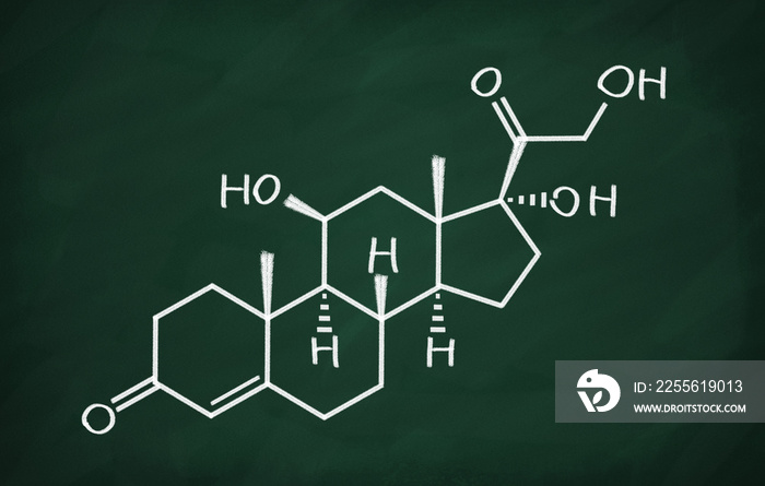 黑板上皮质醇的结构模型。