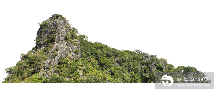 白色背景下的绿色森林隔离的岩石山丘