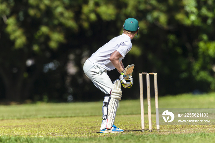 Cricket Batsman ready to strike bowled ball