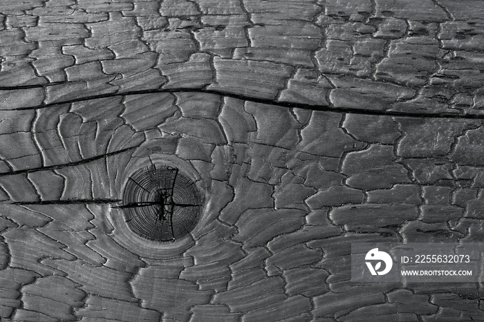 Burnt wooden board texture. Sho-Sugi-Ban Yakisugi is a traditional Japanese method of wood preservat