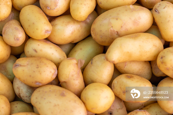 Pommes de terre nouvelles de lIle de Ré en vrac