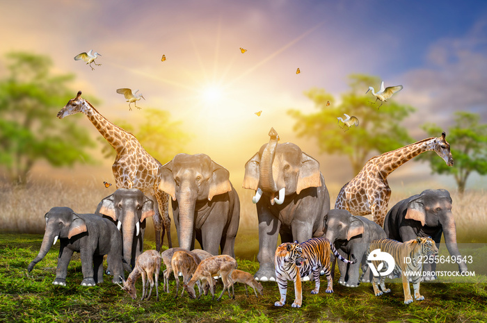 Large group of african safari animals. Wildlife conservation concept