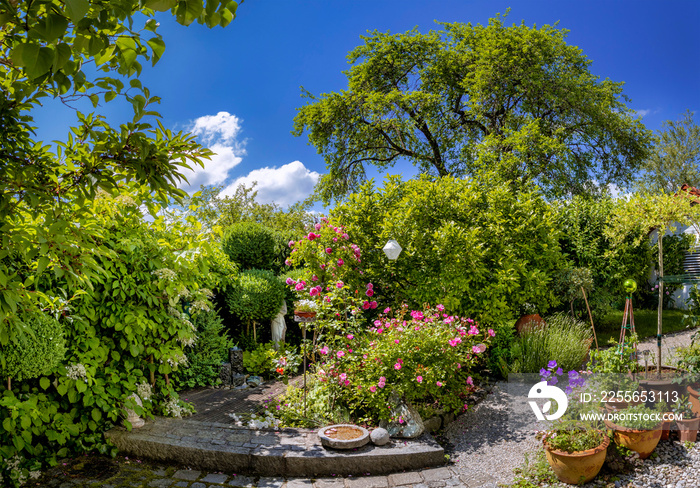 Schöner Garten im Sommer