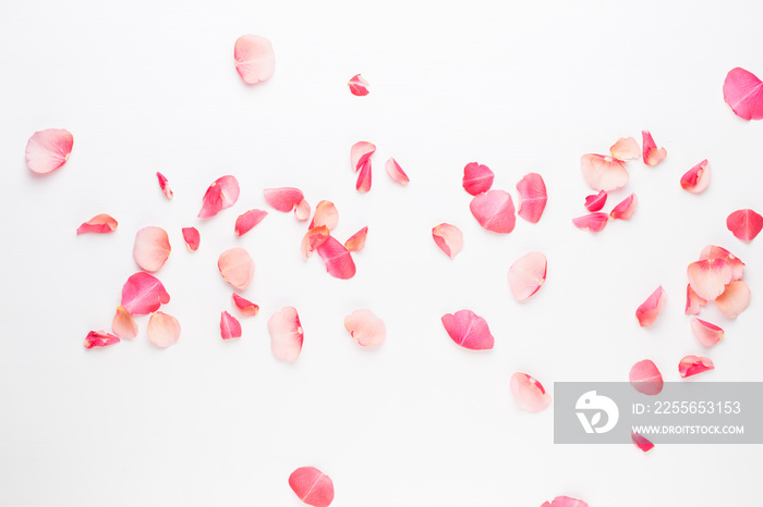 Valentines Day. Rose flowers petals on white background. Valentines day background. Flat lay, top v