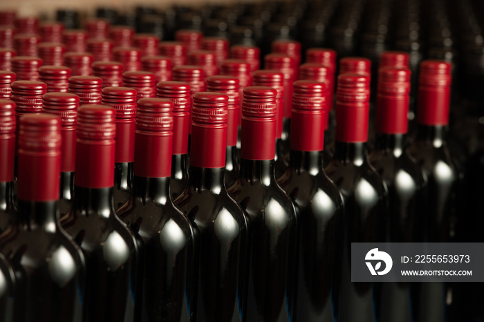 Bottles of wine in winecellar redy for packing and delivery