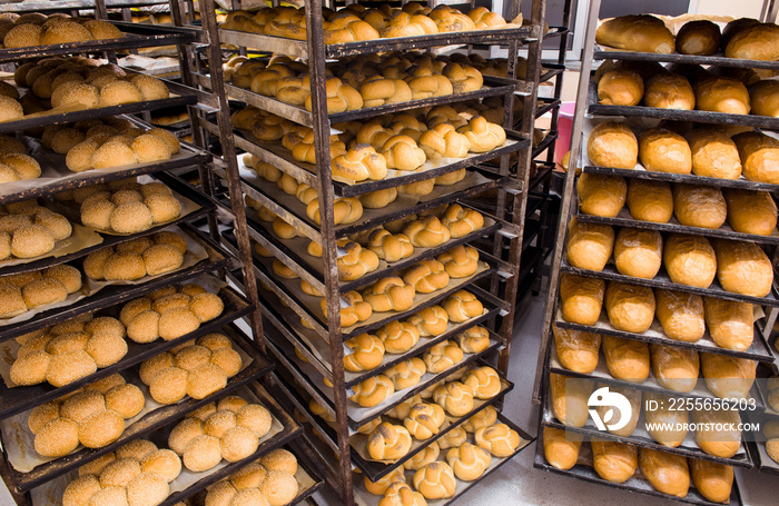 bread bakery food factory production with fresh products