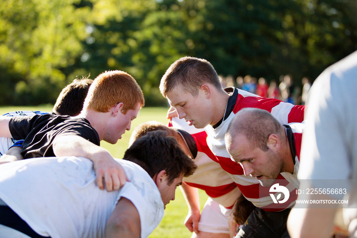 Rugby players playing match in field