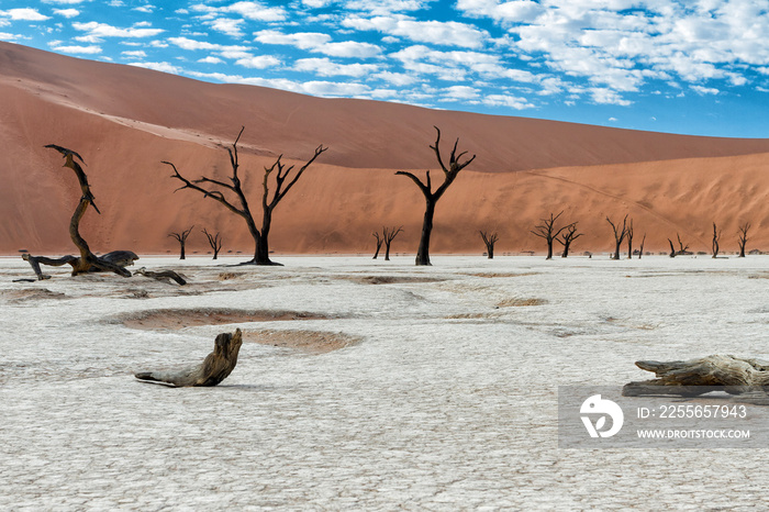 Dead trees with a beautiful cloudy sky at sunrise in Dead Vlei in Sossusvlei, part of the Namib-Nauk