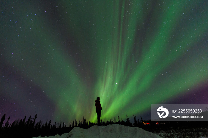 Silhouette man standing on the hill, Northern lights,  Fairbanks, Alaska