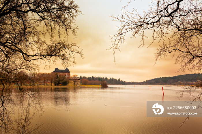 Castle, Lake and Goldeneye