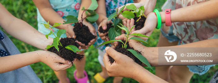 孩子们在手中一起种植植物。选择性聚焦。