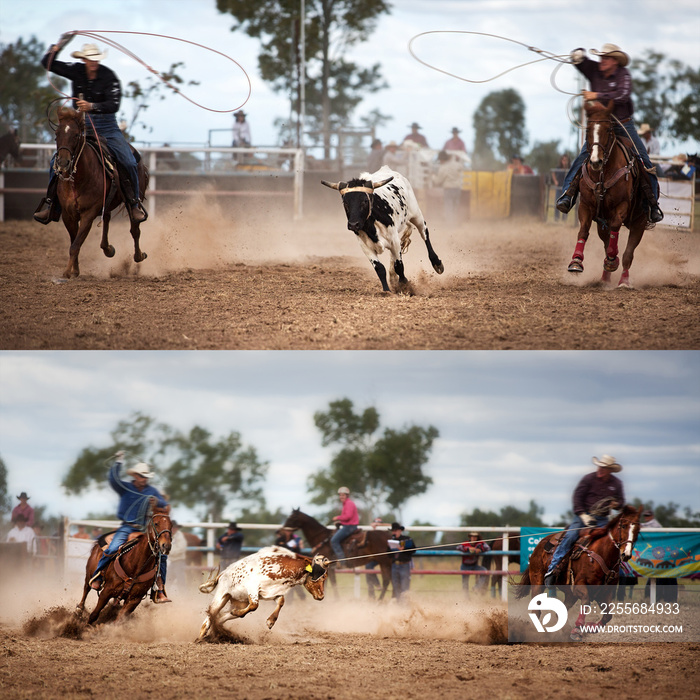 Team Calf Roping Rodeo Collage