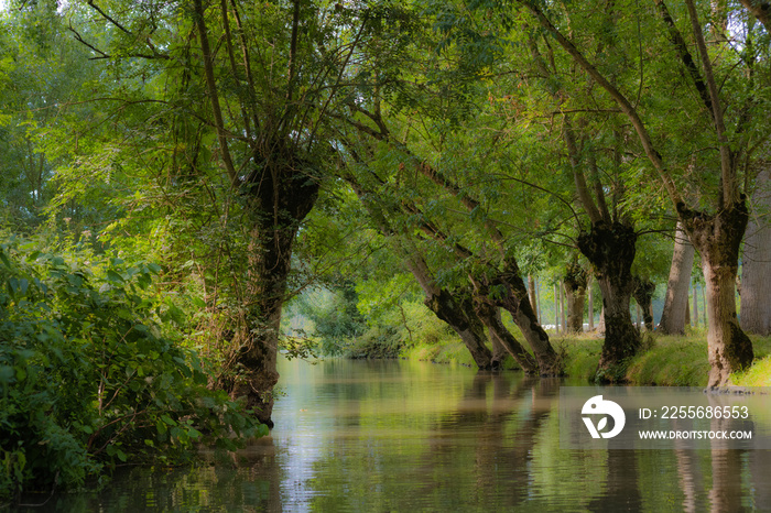 Marais Poitevin