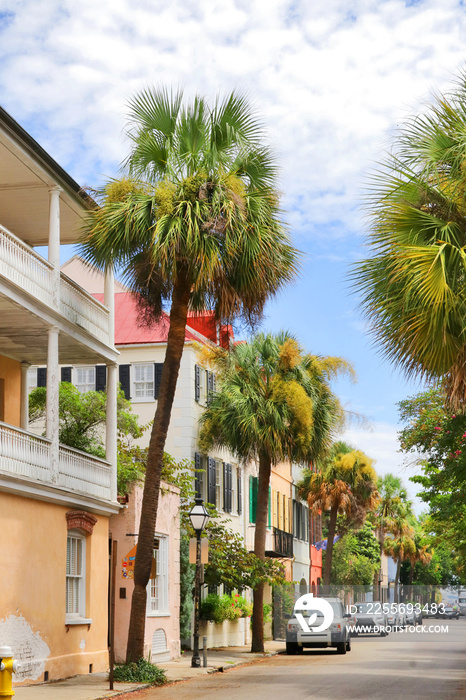美国南卡罗来纳州查尔斯顿市历史悠久的市中心，棕榈树环绕的市中心街景