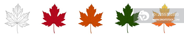 Decorative set of maple leaves