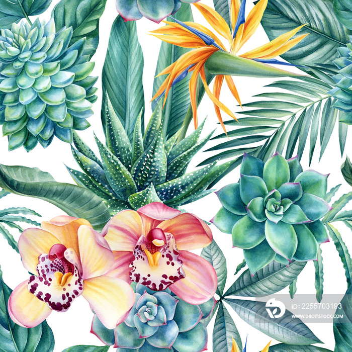 热带树叶、花朵和多肉植物的无缝图案，丛林背景，水彩画