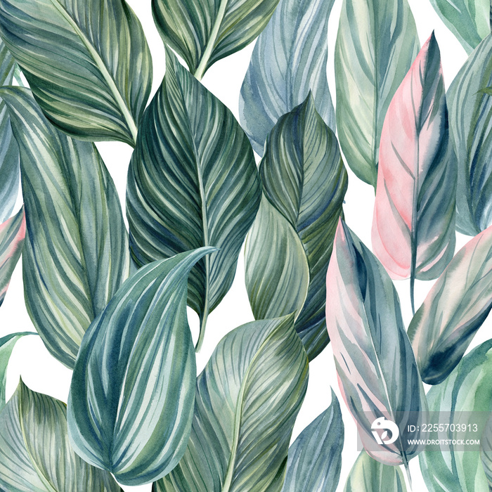 热带花卉棕榈叶无缝图案，水彩插图，丛林设计