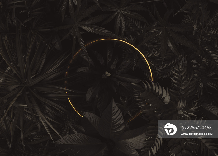 热带植物上圆形金色的三维渲染。珍贵自然风格概念的平面布局