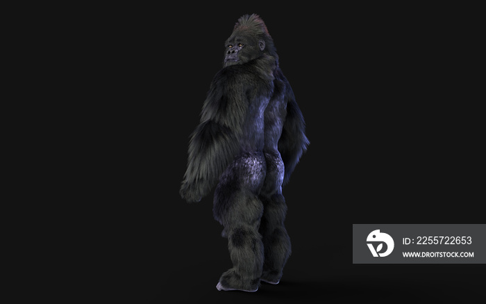 一只银背大猩猩在深色背景下的3d插图，带有剪辑路径。