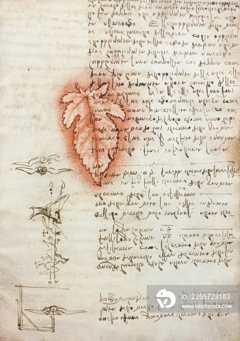 The red leaf and manuscripts in the vintage book Manuscripts of Leonardo da Vinci, Codex on the Flig