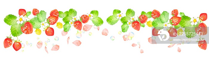 イチゴと桜のかわいい水彩フレーム
