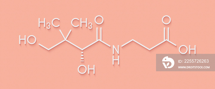 Vitamin B5 (pantothenic acid, pantothenate) molecule. Skeletal formula.