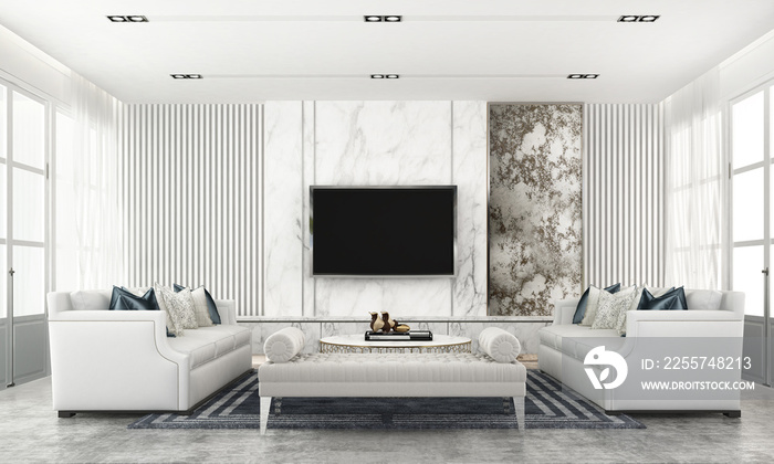 Luxury lounge and living room inteior design and LCD tv wall