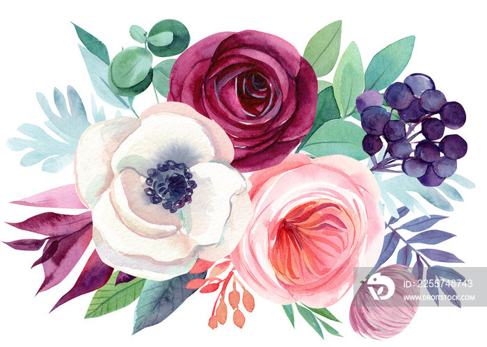 watercolor illustration, abstract flowers, plants, berry leaves on white background, roses, anemones