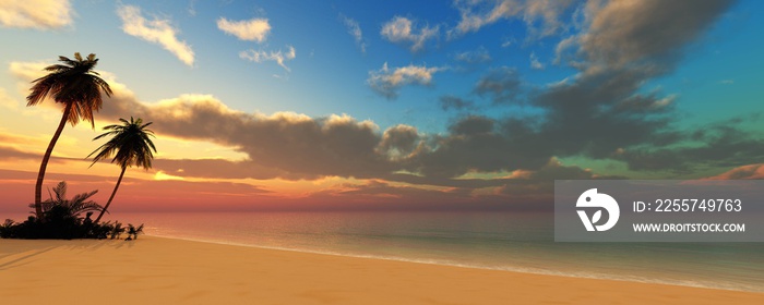 热带海滩，日落时有棕榈树，美丽的海滩上日落的海洋全景