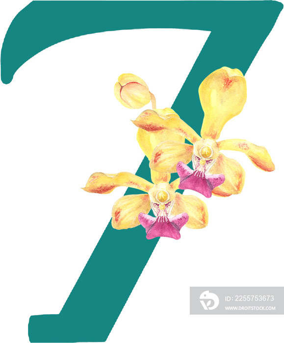 Custom hand drawn vanda orchids alphabet number 7