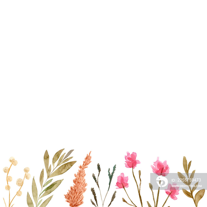 Set of watercolor dried flowers, isolated on white background. Hand drawn painted illustration.