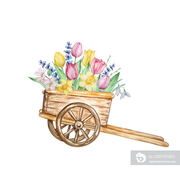 Watercolor painting spring flowers, wooden cart with tulips