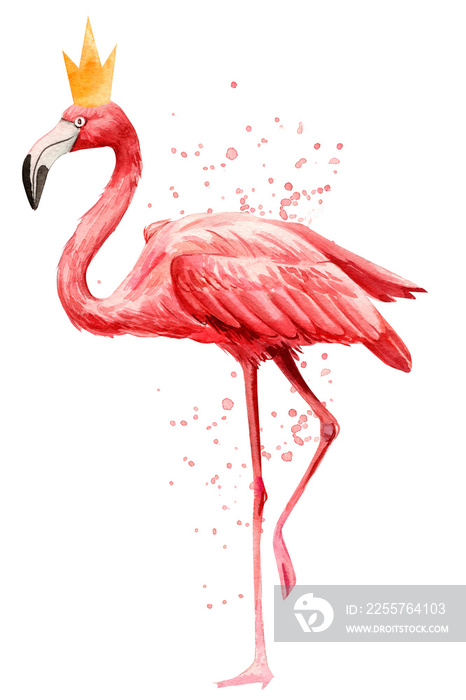 cute pink flamingo bird wearing a crown on an isolated white background, watercolor illustration, pa