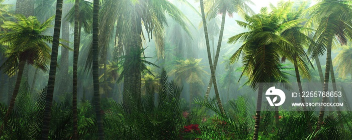 Jungle, rainforest during the plank, palm trees in the morning in the fog, jungle in the haze