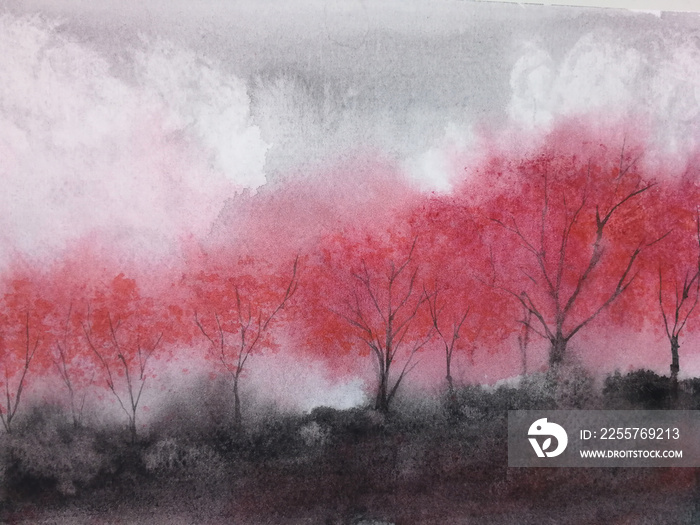 watercolor landscape mountain fog maple tree stand alone and leaf falling to the wind in season. tra
