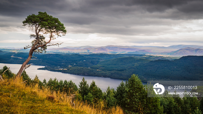 Viewpoint  on the Great Glen Way near to Invermoritson in the Scottish Highlands