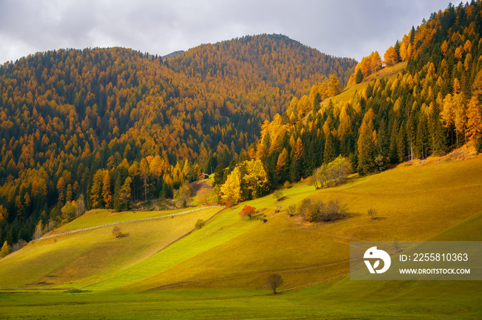 Scenic view of alpine pasturage in picturesque mountain valley at sunny autumn day