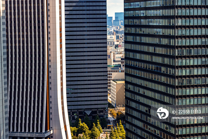 Skyscrapers above the cityscape of Shinjuku, Tokyo