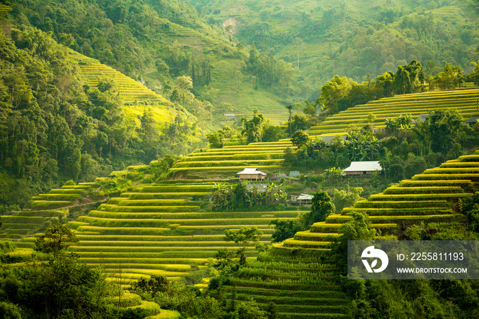 Beautiful view of Rice terrace at Hoang Su Phi. Viewpoint in Hoang Su Phi district, Ha Giang province, Vietnam