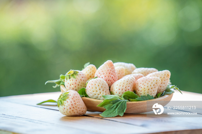 Fresh strawberries in wooden plate on green bokeh background,  White strawberries Pine berry or Hula strawberry on nature background.