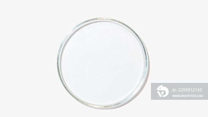 An empty petri dish on a light background.