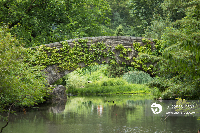 Gapstow Bridge Central Park Manhattan New York City